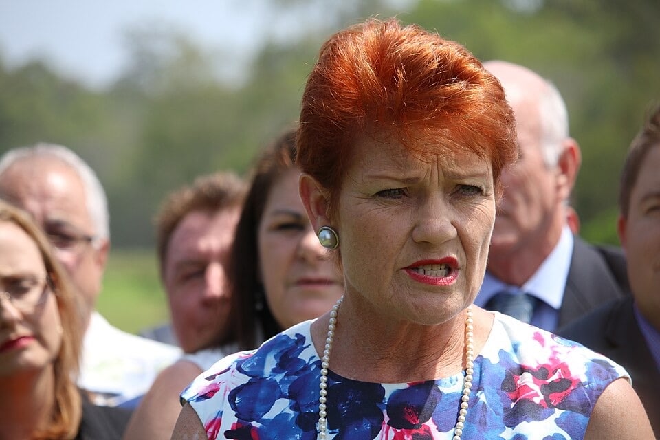 Pauline Hanson lists the public servants she will FIRE over what she calls ‘transgender ideology’