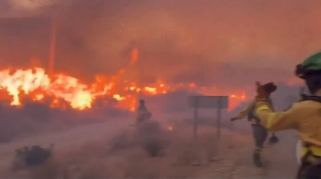 Twelve Killed as Wildfire Traps Victims in Cars Near Almería, Spain