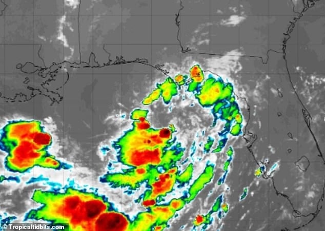 Tropical Storm Bertha Set to Form Off Gulf Coast as Millions Brace for Impact